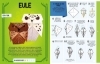 Buchcover und Innenansicht für das Buch: From the Films of Harry Potter : Origami: Featuring 15 foldable Crafts!