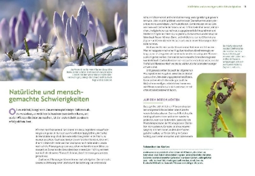 Buchcover und Innenansicht für das Buch: Wächst nicht gibt's nicht