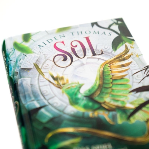 Buchcover und Innenansicht für das Buch: The Sunbearer Trials
