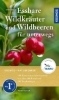 Buchcover und Innenansicht für das Buch: Essbare Wildkräuter und Wildbeeren für unterwegs