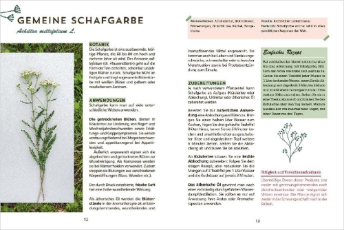 Buchcover und Innenansicht für das Buch: Die natürliche Hausapotheke