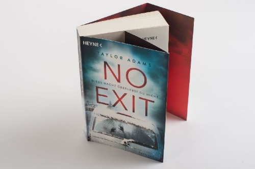 Buchcover und Innenansicht für das Buch: No Exit