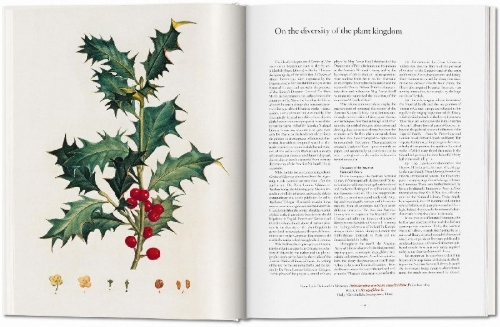 Buchcover und Innenansicht für das Buch: A Garden Eden. Masterpieces of Botanical Illustration