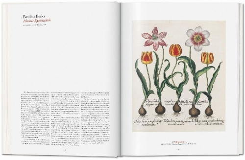Buchcover und Innenansicht für das Buch: A Garden Eden. Masterpieces of Botanical Illustration