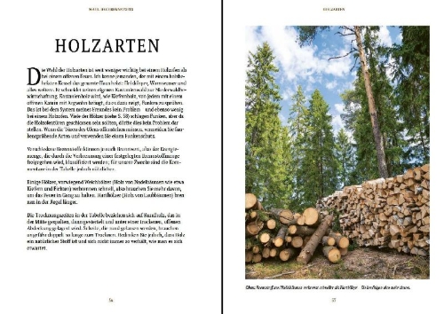 Buchcover und Innenansicht für das Buch: Holz - Ofen - Feuer