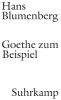 Buchcover und Innenansicht für das Buch: Goethe zum Beispiel