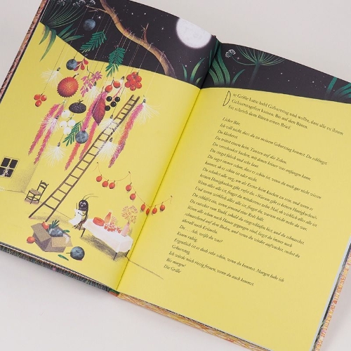Buchcover und Innenansicht für das Buch: Is er dan niemand boos?