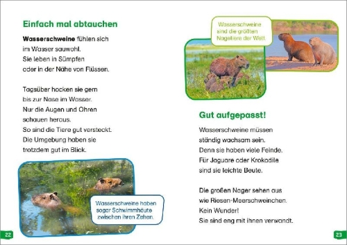 Buchcover und Innenansicht für das Buch: WAS IST WAS Erstes Lesen easy! Band 18. Tiere im Regenwald