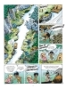 Buchcover und Innenansicht für das Buch: Marsupilami 8 - Le Temple de Boavista