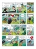 Buchcover und Innenansicht für das Buch: Marsupilami 8 - Le Temple de Boavista