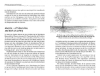Buchcover und Innenansicht für das Buch: Der sanfte Schnitt
