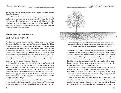 Buchcover und Innenansicht für das Buch: Der sanfte Schnitt