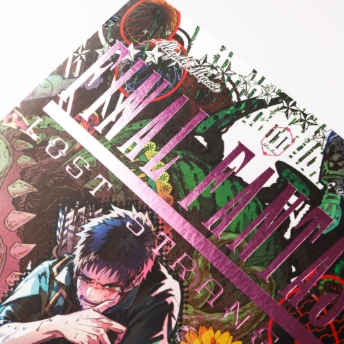 Buchcover und Innenansicht für das Buch: Final Fantasy Lost Stranger