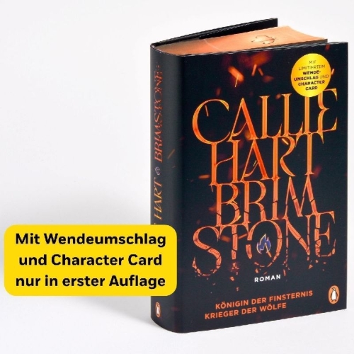 Buchcover und Innenansicht für das Buch: Brimstone