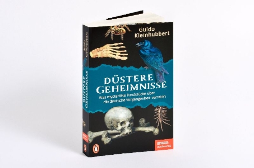 Buchcover und Innenansicht für das Buch: Düstere Geheimnisse