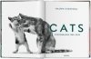 Buchcover und Innenansicht für das Buch: Walter Chandoha. Cats. Photographs 1942-2018