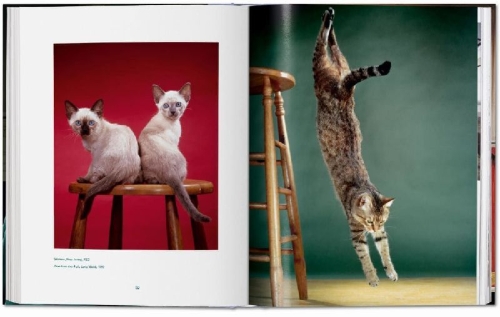 Buchcover und Innenansicht für das Buch: Walter Chandoha. Cats. Photographs 1942-2018