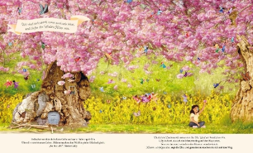Buchcover und Innenansicht für das Buch: Through the Fairy Door