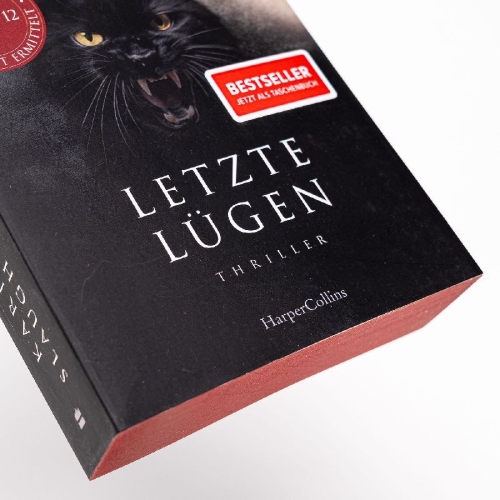 Buchcover und Innenansicht für das Buch: This is why we lied