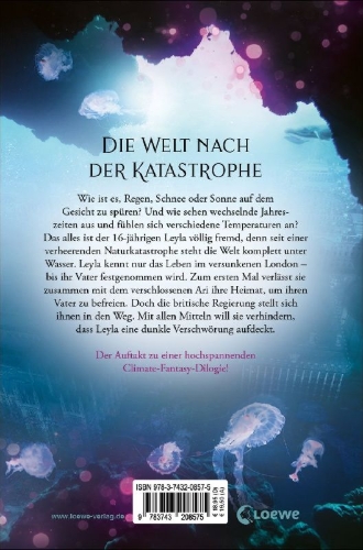 Buchcover und Innenansicht für das Buch: The Light at the Bottom of the World