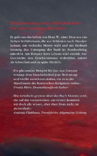 Buchcover und Innenansicht für das Buch: Der Komet