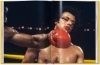 Buchcover und Innenansicht für das Buch: Rocky