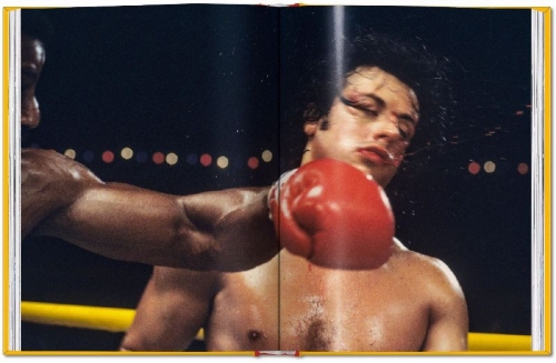 Buchcover und Innenansicht für das Buch: Rocky