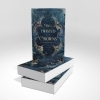 Buchcover und Innenansicht für das Buch: Two Twisted Crowns