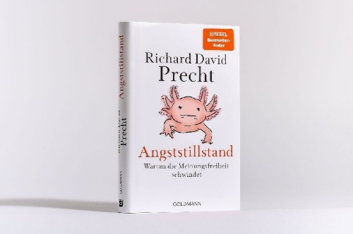 Buchcover und Innenansicht für das Buch: Angststillstand