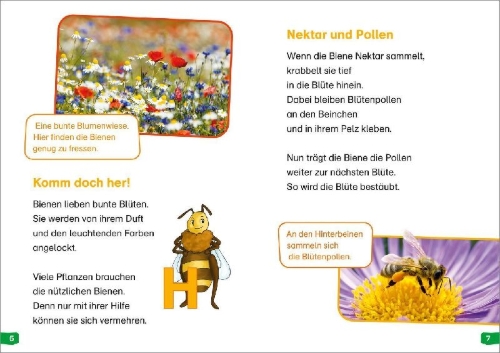 Buchcover und Innenansicht für das Buch: WAS IST WAS Erstes Lesen easy! Band 3. Wie lebt die Honigbiene?