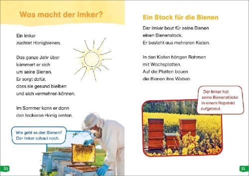 Buchcover und Innenansicht für das Buch: WAS IST WAS Erstes Lesen easy! Band 3. Wie lebt die Honigbiene?