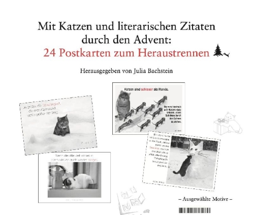 Buchcover und Innenansicht für das Buch: Der literarische Katzen-Adventskalender