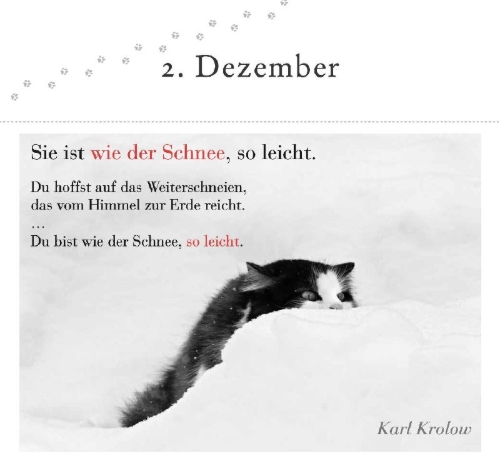 Buchcover und Innenansicht für das Buch: Der literarische Katzen-Adventskalender