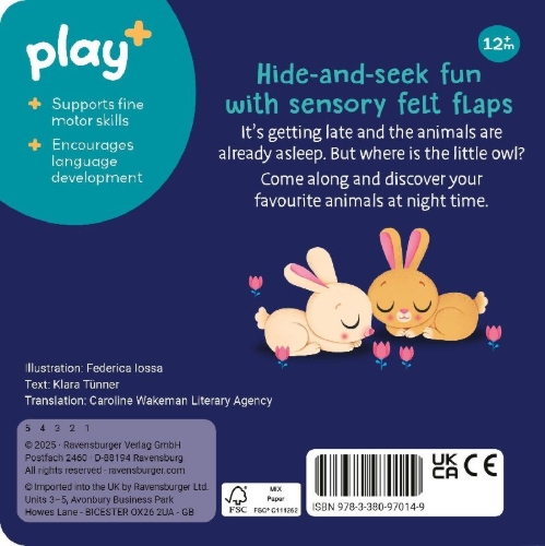 Buchcover und Innenansicht für das Buch: Play+ Are you hiding, little owl?