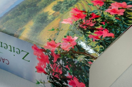 Buchcover und Innenansicht für das Buch: Zeiten des Umbruchs