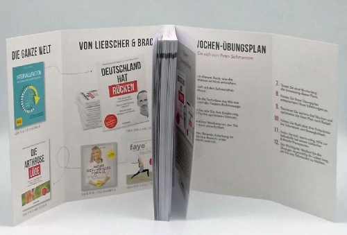 Buchcover und Innenansicht für das Buch: Rolle dich schmerzfrei