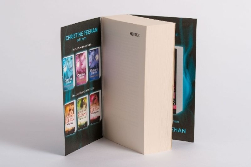 Buchcover und Innenansicht für das Buch: Shadow Rider - The Shadow Series Book 1
