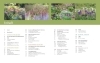 Buchcover und Innenansicht für das Buch: Immerblühende Beete
