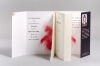 Buchcover und Innenansicht für das Buch: Terapiassa
