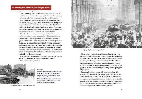 Buchcover und Innenansicht für das Buch: Die Mauer ist gefallen