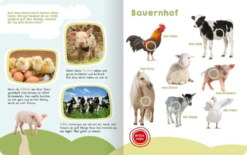 Buchcover und Innenansicht für das Buch: Mein großes Buch der Tiergeräusche