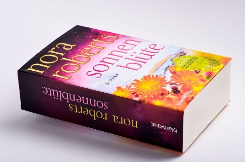 Buchcover und Innenansicht für das Buch: The Offering (The Dragon Heart Legacy Book 3)