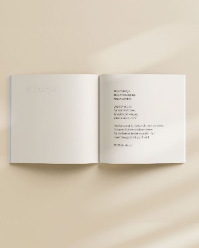Buchcover und Innenansicht für das Buch: Das kleine Buch des großen Lichts