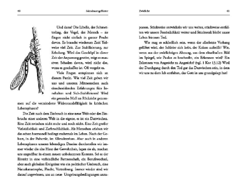 Buchcover und Innenansicht für das Buch: Libellenflug und Windgeflüster