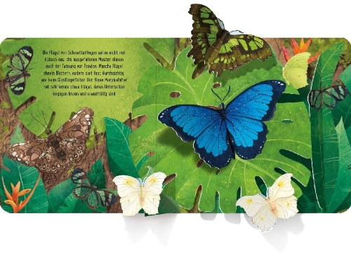 Buchcover und Innenansicht für das Buch: Pop- Up Butterflies