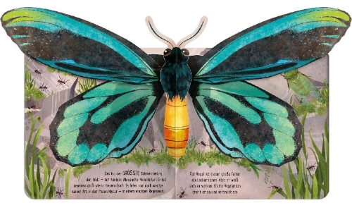Buchcover und Innenansicht für das Buch: Pop- Up Butterflies