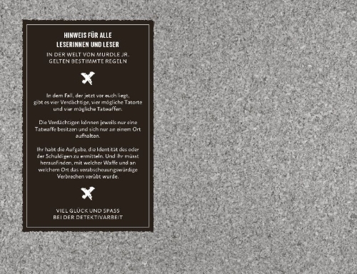 Buchcover und Innenansicht für das Buch: Sleuths on the loose