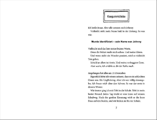 Buchcover und Innenansicht für das Buch: Von Null auf Held oder Wer ist eigentlich Amin?