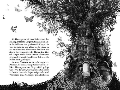 Buchcover und Innenansicht für das Buch: Ginger und die Bibliothek der magischen Pflanzen