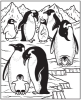 Buchcover und Innenansicht für das Buch: Mein Farbenzauber-Malbuch: Tiere